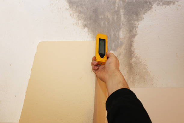 Best Comprehensive Air Testing for Mold Contaminants  in Coto De Za, CA