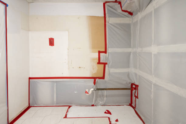 Best Environmental Consulting for Mold Prevention  in Coto De Za, CA