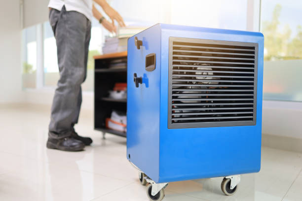 Best Mold Removal for HVAC Installations  in Coto De Za, CA