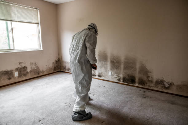 Best Biohazard Mold Removal  in Coto De Za, CA